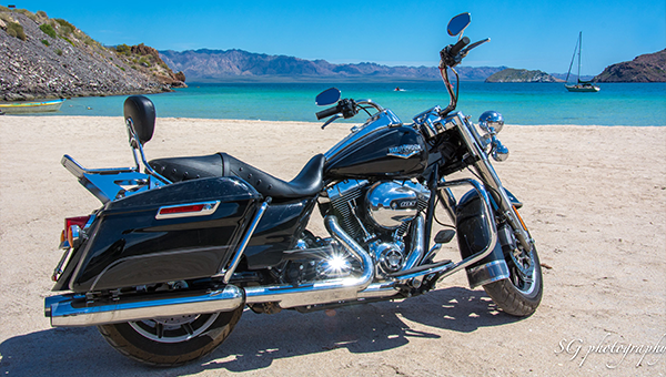South of the Border - Baja Tour